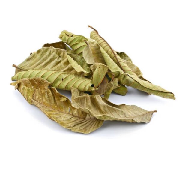 Guava Leaves