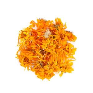 Calendula