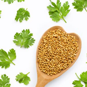 Coriander